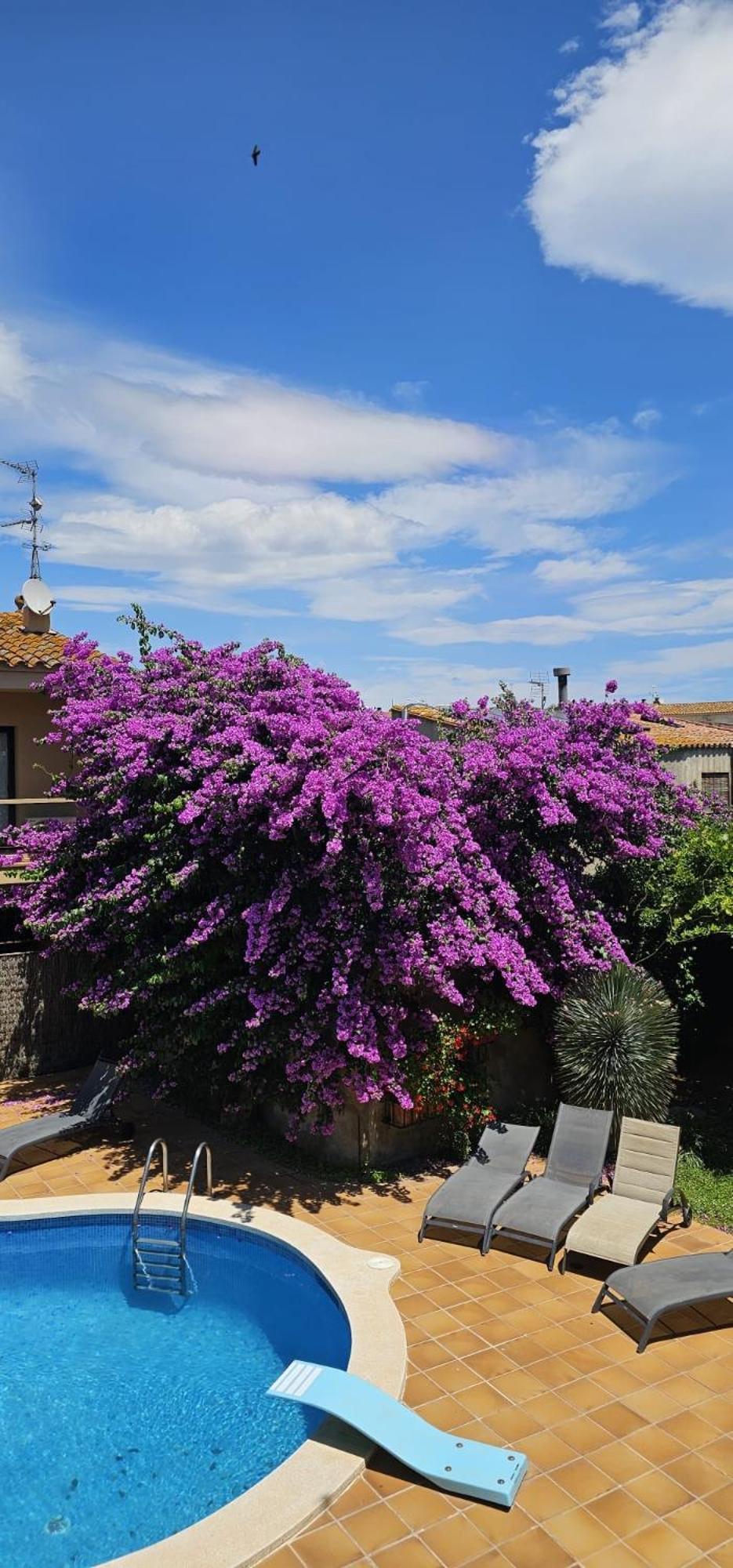 Vilabertrán Casa Deluxe Alt Emporda Costa Brava - Private Swimming Pool 빌라 외부 사진